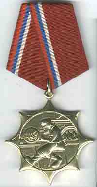 Медаль профессионала России